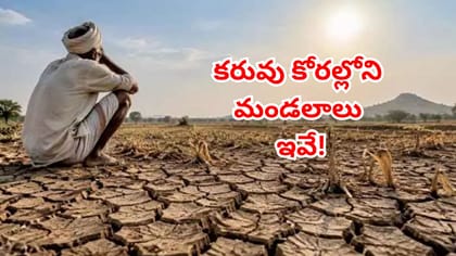 ఎల్‌నీనో ఎఫెక్ట్‌.. తెలంగాణలో కరువు మండలాలు ఇవే