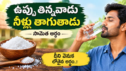 ఉప్పు తిన్నవాడు నీళ్లు తాగుతాడు.. ఈ సామెత అర్థం ఏమిటో తెలుసా?