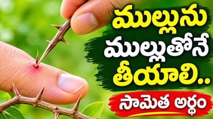 ముల్లును ముల్లుతోనే తీయాలి.. ఈ సామెత అర్థం తెలుసా?