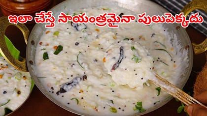 గుడి ప్రసాదం రుచిని తలపించే దద్దోజనం.. ఇలా చేస్తే రోజంతా తాజాగా