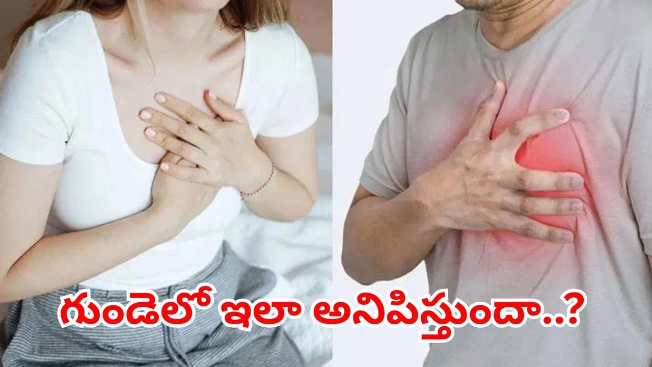వ్యాయామం చేసిన వెంటనే గుండెలో అలా అనిపిస్తుందా..? పెను ప్రమాదమే.. బీఅలర్ట్ – general వ్యాయామం చేసిన వెంటనే గుండెలో అలా అనిపిస్తుందా..? పెను ప్రమాదమే.. బీఅలర్ట్ – general