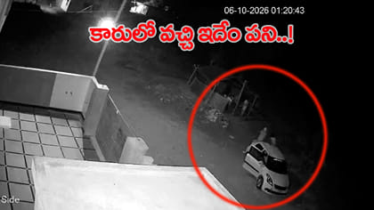 కారులో వచ్చి మేకలు ఎత్తుకెళ్లిన దొంగలు!