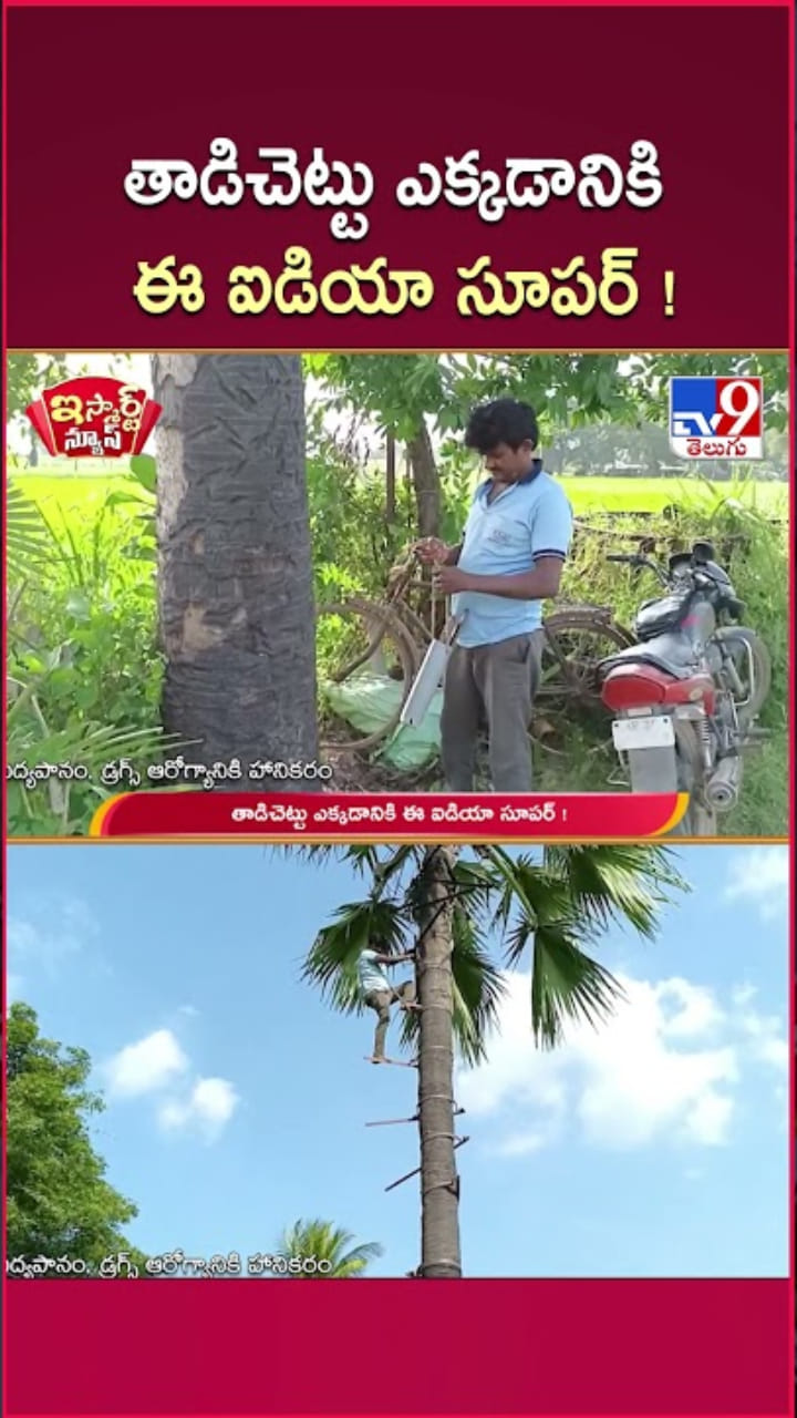 తాటి చెట్టు ఎక్కడానికి సూపర్ ఐడియా ఇదిగో..