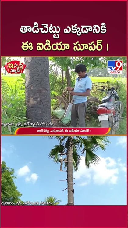 తాటి చెట్టు ఎక్కడానికి సూపర్ ఐడియా ఇదిగో..