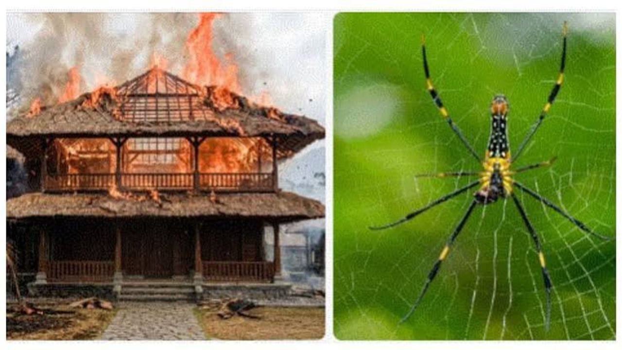సాలీడుకి నిప్పు పెట్టబోయి.. రూ.కోటి విల్లా బూడిదపాలు!
