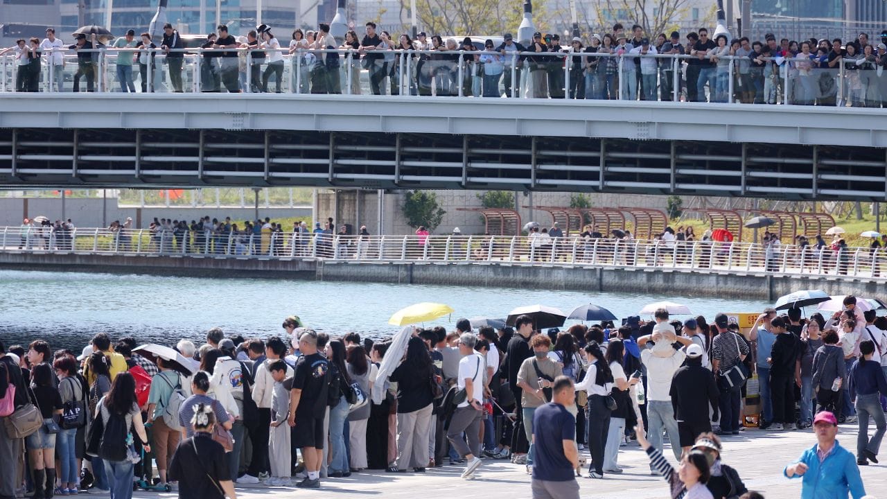 Trapped Shark In South Korea Canal Attracts Crowds