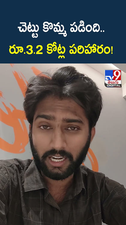 చెట్టు కొమ్మ పడింది.. రూ.3.2 కోట్ల పరిహారం!