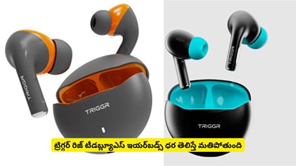 ట్రిగ్గర్ రిజ్ టీడబ్ల్యూఎస్ ఇయర్‌బడ్స్ ధర తెలిస్తే మతిపోతుంది