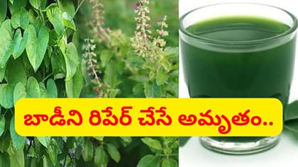 నరాల బలహీనత తగ్గి.. శరీరానికి శక్తి వస్తుంది..