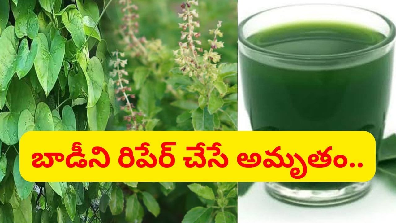 నరాల బలహీనత తగ్గి.. శరీరానికి శక్తి వస్తుంది.. ఉదయాన్నే అర చెంచాడు తాగండి చాలు..!