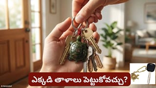 తాబేలు కీరింగ్‌లో తాళం చెవులు పెడుతున్నారా? శుభమా.. అశుభమా? ఈ నియమం తెలుసుకోండి!