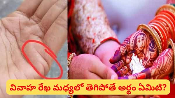 చేతిలో రెండు వివాహ రేఖలు ఉన్నాయా? రెండుసార్లు పెళ్లి జరుగుతుందా.. అసలు విషయం ఇదే!