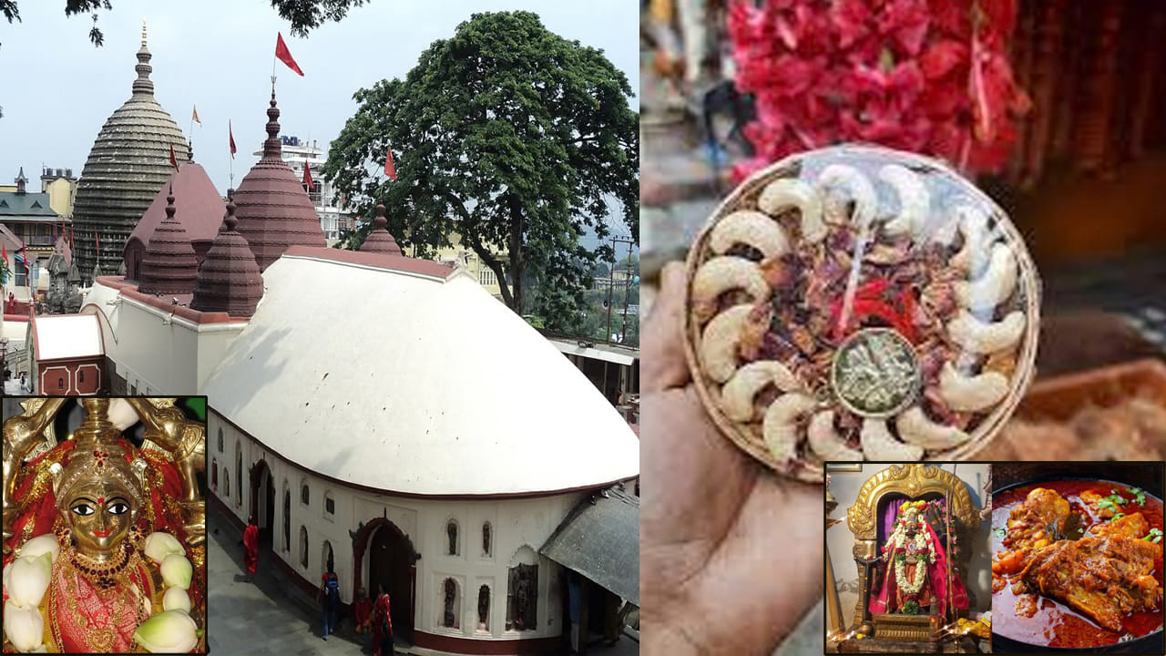 Non Vegetarian Prasad Temples In India: భారతదేశం ఆధ్యాత్మిక సంప్రదాయాలకు, వైవిధ్యమైన ఆలయ ఆచారాలకు ప్రసిద్ధి. సాధారణంగా ఆలయాలకు వెళ్లినప్పుడు భక్తులకు పులిహోర, లడ్డూ, పొంగలి వంటి శాకాహార ప్రసాదాలు అందిస్తుంటారు. అయితే, దేశంలోని కొన్ని ప్రత్యేక ఆలయాల్లో మాత్రం మాంసాహారాన్ని కూడా దేవతలకు నైవేద్యంగా సమర్పించడం, అనంతరం భక్తులకు ప్రసాదంగా అందించడం ఆనవాయితీగా కొనసాగుతోంది. ఈ ఆచారాల వెనుక శతాబ్దాల చరిత్ర, స్థానిక ప్రజల విశ్వాసాలు, తాంత్రిక సంప్రదాయాలు, గిరిజన సంస్కృతులు ముడిపడి ఉన్నాయి. అస్సాం నుంచి కేరళ వరకు విస్తరించిన అలాంటి ఐదు ఆలయాల ప్రత్యేకతలను తెలుసుకుందాం.