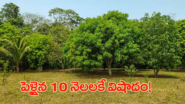 పెళ్లైన 10 నెలలకే విషాదం.. ప్రియుడితో కలిసి మామిడి తోటలో యువతి సంచలన నిర్ణయం!