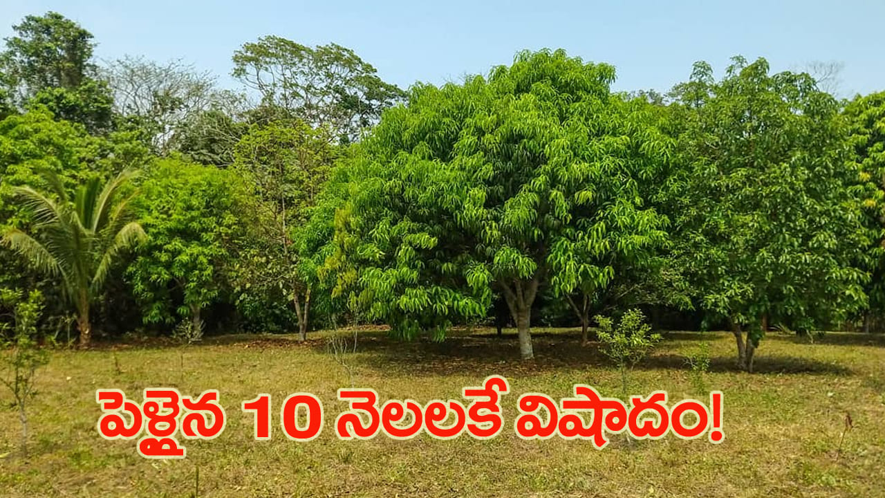 పెళ్లైన 10 నెలలకే విషాదం.. ప్రియుడితో కలిసి మామిడి తోటలో యువతి సంచలన నిర్ణయం!