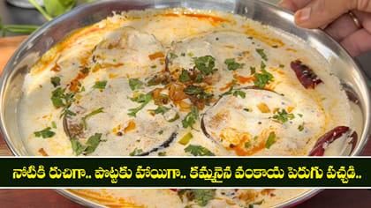 నోటికి రుచిగా.. పొట్టకు హాయిగా.. కమ్మనైన వంకాయ పెరుగు పచ్చడి