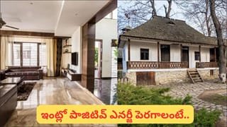 Vastu Tips: ఇంట్లో కిటికీల విషయంలో ఈ తప్పులు చేయకండి.. నెగిటివిటీ పెరుగుతుందట!