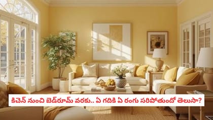 కిచెన్ నుంచి బెడ్‌రూమ్ వరకు.. ఏ గదికి ఏ రంగు సరిపోతుందో తెలుసా?