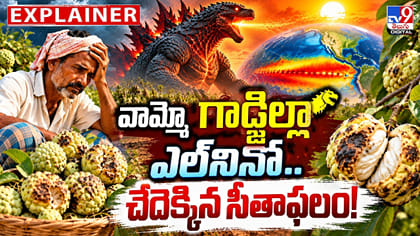 వామ్మో గాడ్జిల్లా ఎల్‌నినో.. చేదెక్కిన సీతాఫలం!