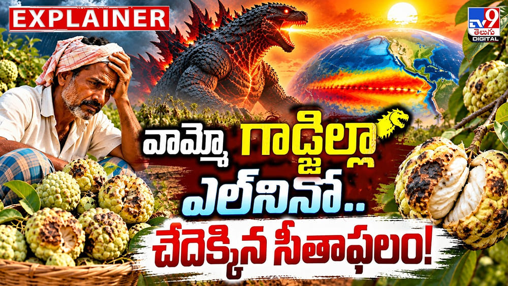 వామ్మో గాడ్జిల్లా ఎల్‌నినో.. చేదెక్కిన సీతాఫలం!
