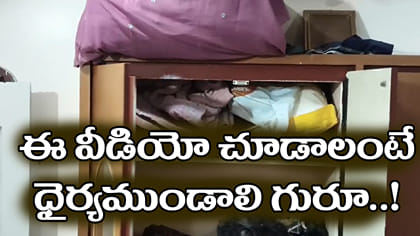చీర కోసం కబోర్డ్ తెరిచిన మహిళ.. లోపల కనిపించిన దృశ్యం చూసి షాక్!