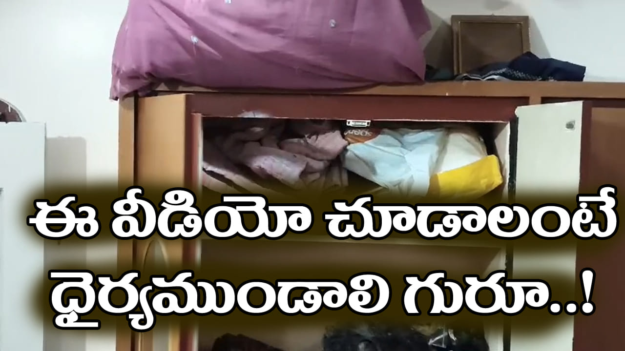 చీర కోసం కబోర్డ్ తెరిచిన మహిళ.. లోపల కనిపించిన దృశ్యం చూసి షాక్!