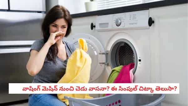 Washing Machine: బట్టలు ఉతికినా వాసన వస్తోందా? వాషింగ్ మెషిన్లో ఈ భాగాలను శుభ్రం చేయండి!