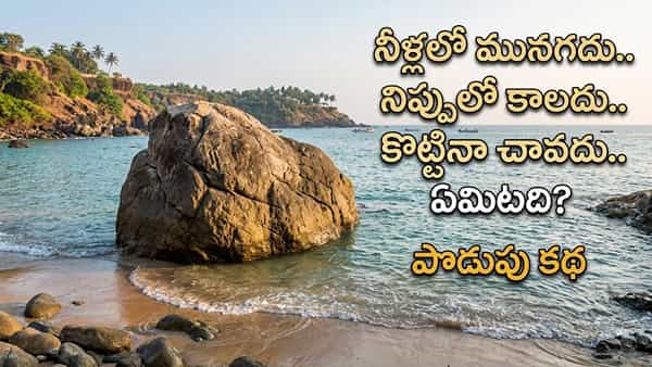 నీళ్లలో మునగదు.. నిప్పులో కాలదు.. కొట్టినా చావదు! ఏమిటో చెప్పగలరా?