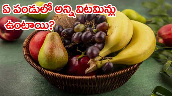 ఏ పండులో అన్ని విటమిన్లు ఉంటాయి? ఇలాంటి పండు భూమిపై నిజంగా ఉందా..
