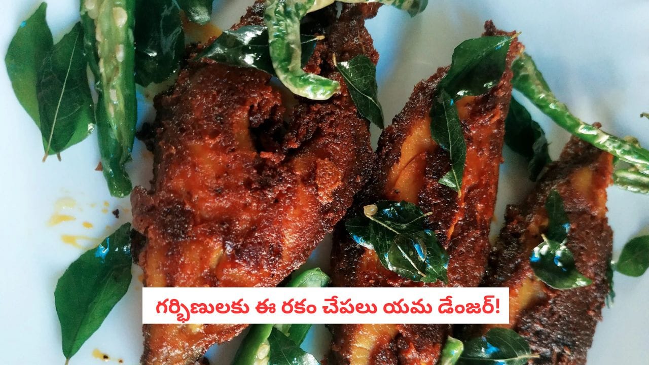 Fish Side Effects: గర్భిణీలు చేపలు తినొచ్చా? ఏ చేపలు తినాలి.. వేటికి దూరంగా ఉండాలో తెలుసుకోండి! – general Fish Side Effects: గర్భిణీలు చేపలు తినొచ్చా? ఏ చేపలు తినాలి.. వేటికి దూరంగా ఉండాలో తెలుసుకోండి! – general