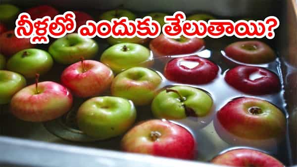 Today GK: కాఫీ ఎక్కువగా తాగే దేశం ఏది..? యాపిల్, నిమ్మ ఎందుకు నీళ్లలో తేలుతాయి..?
