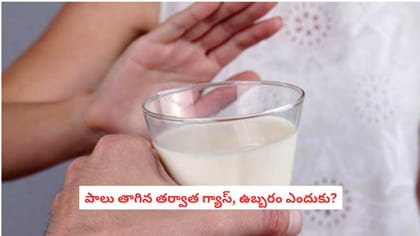 పాలు తాగిన తర్వాత గ్యాస్, ఉబ్బరం ఎందుకు?