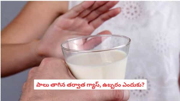 Milk and Bloating: పాలు తాగగానే కడుపు బరువుగా అనిపిస్తుందా? మీరు తెలుసుకోవాల్సిన విషయాలివే!