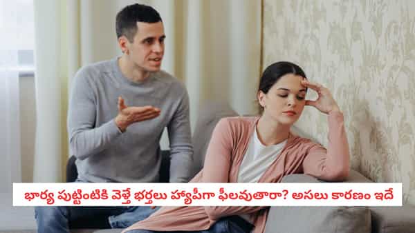 Husband Wife Relationship: భార్య పుట్టింటికి వెళ్తే భర్తలు హ్యాపీనా? సోషల్ మీడియా చెప్పే మాటల్లో అసలు నిజమెంత?
