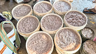 Yanam: యానాం తీరంలో చీరమేను సందడి.. బకెట్ ధర తెలిస్తే బిత్తరపోవాల్సిందే..