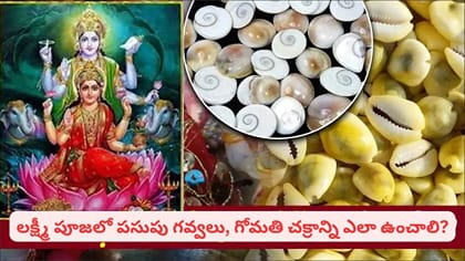 దీపావళి లక్ష్మీ పూజలో పసుపు గవ్వలు, గోమతి చక్రం ఎందుకు ఉంచుతారు?