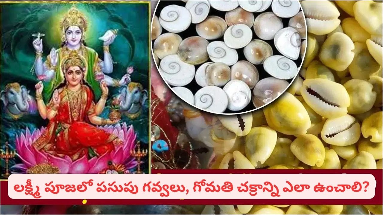 Diwali Lakshmi Puja: దీపావళి లక్ష్మీ పూజలో పసుపు గవ్వలు, గోమతి చక్రం ఎందుకు ఉంచుతారో తెలుసా?