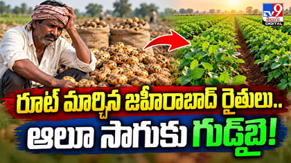 రూట్ మార్చిన జహీరాబాద్ రైతులు.. ఆలు సాగుకు గుడ్‌బై!
